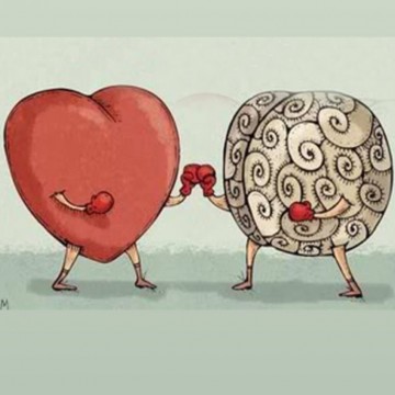 بين عقل و قلب