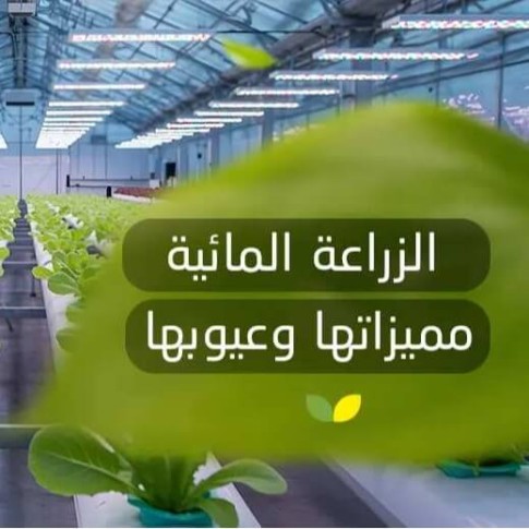 مستقبل الزراعة في المملكة